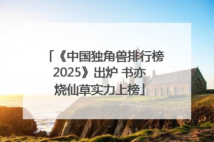 《中国独角兽排行榜2025》出炉 书亦烧仙草实力上榜