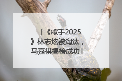 《歌手2025》林志炫被淘汰，马嘉祺揭榜成功