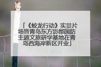 《蛟龙行动》实景片场暨青岛东方影都国防主题文旅研学基地在青岛西海岸新区开业