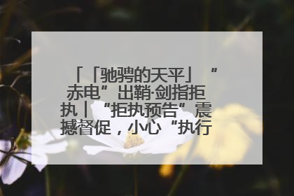 「驰骋的天平」“赤电”出鞘·剑指拒执︱“拒执预告”震撼督促，小心“执行”变“执刑”