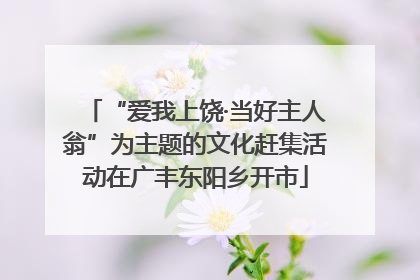 “爱我上饶·当好主人翁”为主题的文化赶集活动在广丰东阳乡开市