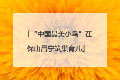 “中国最美小鸟”在保山昌宁筑巢育儿