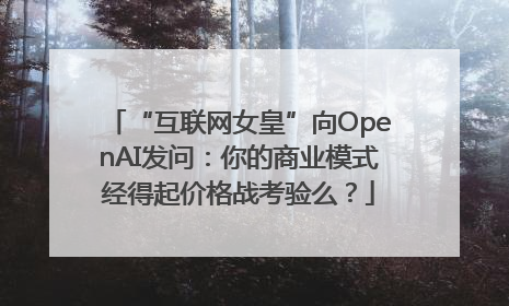 “互联网女皇”向OpenAI发问：你的商业模式经得起价格战考验么？