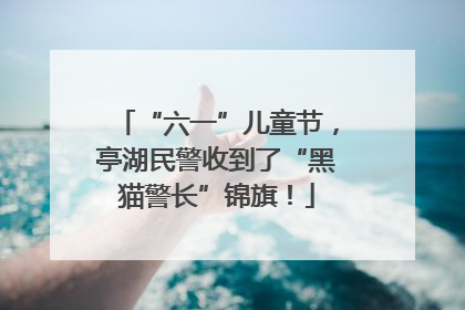 “六一”儿童节，亭湖民警收到了“黑猫警长”锦旗！