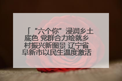 “六个你”浸润乡土底色 党群合力绘就乡村振兴新图景 辽宁省阜新市以民生温度激活乡村善治密码