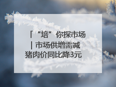 “培”你探市场｜市场供增需减 猪肉价同比降3元 未来40天便宜猪肉敞开吃