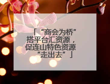 “商会为桥”搭平台汇资源，促连山特色资源“走出去”