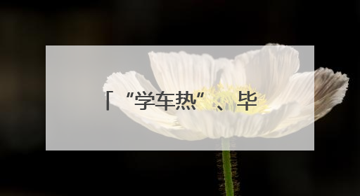 “学车热”、毕业季“焕新” 各地多重优惠助力“考后经济”升温