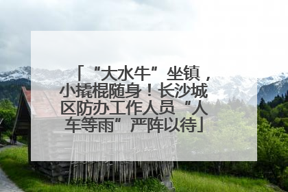 “大水牛”坐镇，小撬棍随身！长沙城区防办工作人员“人车等雨”严阵以待