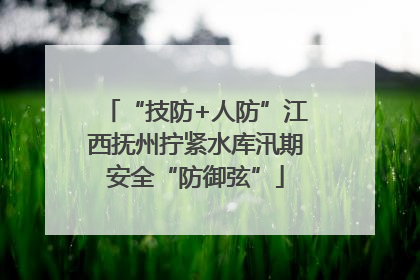 “技防+人防”江西抚州拧紧水库汛期安全“防御弦”