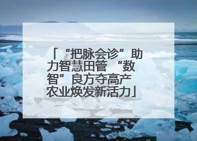 “把脉会诊”助力智慧田管 “数智”良方夺高产 农业焕发新活力