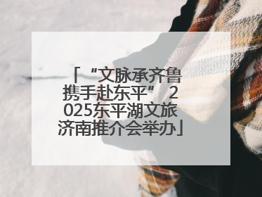 “文脉承齐鲁 携手赴东平” 2025东平湖文旅济南推介会举办