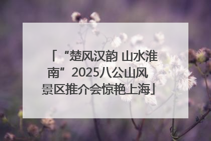 “楚风汉韵 山水淮南”2025八公山风景区推介会惊艳上海