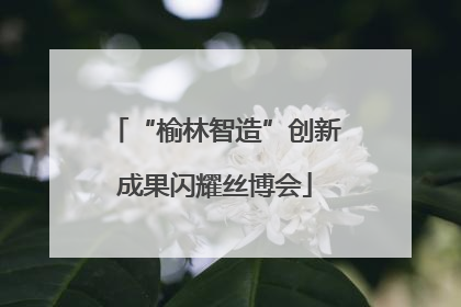 “榆林智造”创新成果闪耀丝博会
