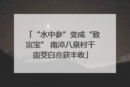 “水中参”变成“致富宝” 南漳八泉村千亩茭白喜获丰收
