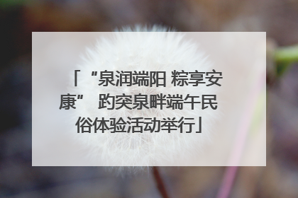 “泉润端阳 粽享安康” 趵突泉畔端午民俗体验活动举行