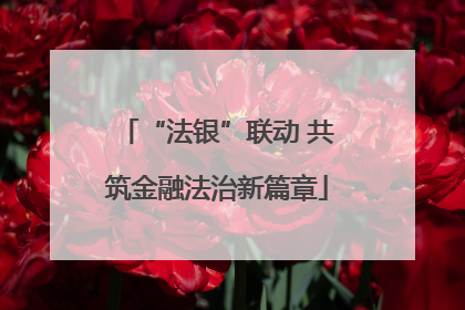 “法银”联动 共筑金融法治新篇章