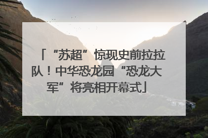 “苏超”惊现史前拉拉队！中华恐龙园“恐龙大军”将亮相开幕式