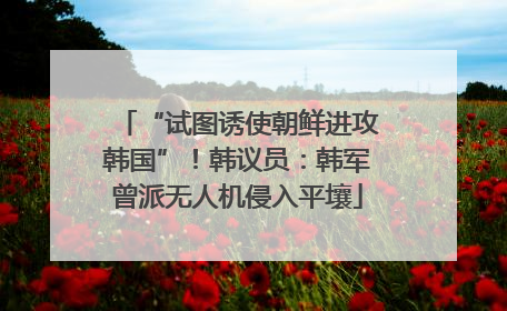 “试图诱使朝鲜进攻韩国”！韩议员：韩军曾派无人机侵入平壤