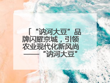 “讷河大豆”品牌闪耀京城，引领农业现代化新风尚——“讷河大豆”品牌新发地推介会圆满落幕