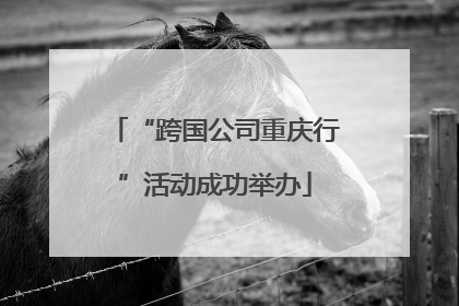 “跨国公司重庆行”活动成功举办