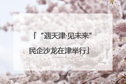 “遇天津·见未来”民企沙龙在津举行