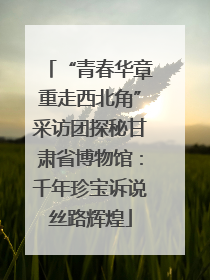 “青春华章重走西北角”采访团探秘甘肃省博物馆：千年珍宝诉说丝路辉煌