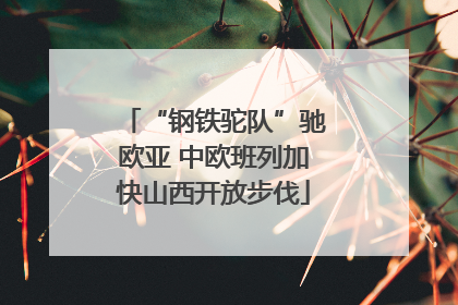 “钢铁驼队”驰欧亚 中欧班列加快山西开放步伐