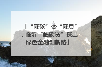 “降碳”变“降息”，临沂“临碳贷”探出绿色金融创新路