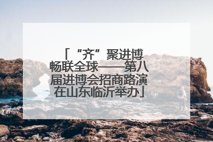 “齐”聚进博 畅联全球——第八届进博会招商路演在山东临沂举办