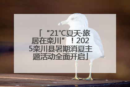 “21℃夏天·旅居在栾川”！2025栾川县暑期消夏主题活动全面开启