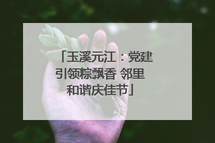 玉溪元江：党建引领粽飘香 邻里和谐庆佳节