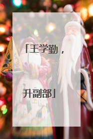 王学勤，升副部