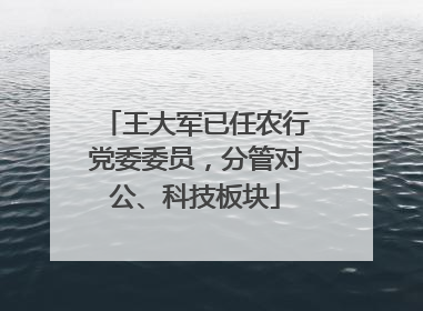 王大军已任农行党委委员，分管对公、科技板块