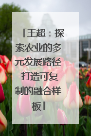 王超：探索农业的多元发展路径 打造可复制的融合样板