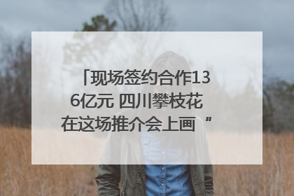 现场签约合作136亿元 四川攀枝花在这场推介会上画“图谱”列“清单”
