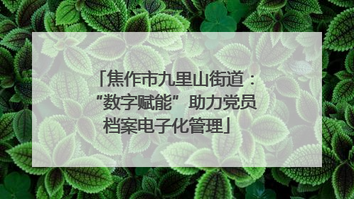 焦作市九里山街道：“数字赋能”助力党员档案电子化管理