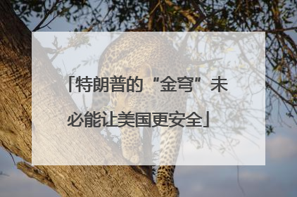特朗普的“金穹”未必能让美国更安全