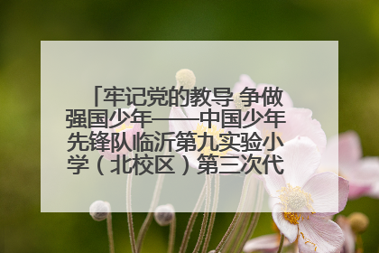 牢记党的教导 争做强国少年——中国少年先锋队临沂第九实验小学（北校区）第三次代表大会胜利召开