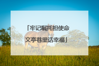牢记嘱托担使命 文亭巷里话幸福