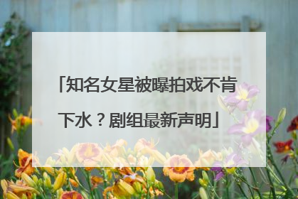 知名女星被曝拍戏不肯下水？剧组最新声明