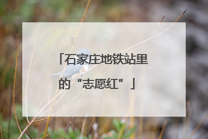 石家庄地铁站里的“志愿红”