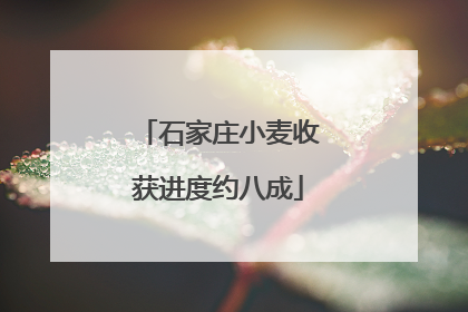 石家庄小麦收获进度约八成