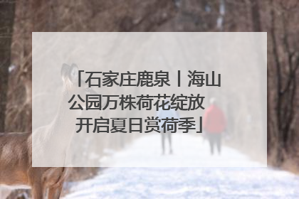 石家庄鹿泉丨海山公园万株荷花绽放 开启夏日赏荷季