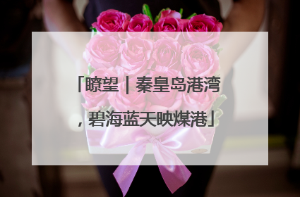 瞭望｜秦皇岛港湾，碧海蓝天映煤港