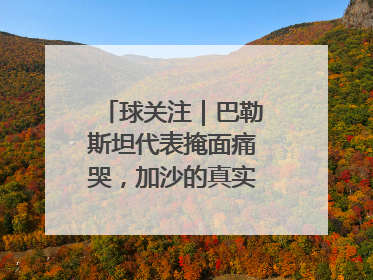球关注｜巴勒斯坦代表掩面痛哭，加沙的真实现状让人痛心