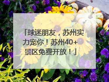 球迷朋友，苏州实力宠你！苏州40+景区免费开放！