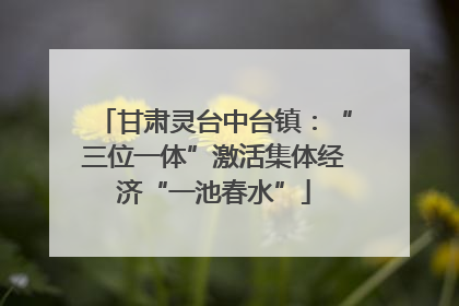 甘肃灵台中台镇：“三位一体”激活集体经济“一池春水”