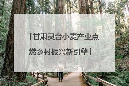 甘肃灵台小麦产业点燃乡村振兴新引擎