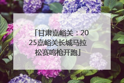 甘肃嘉峪关：2025嘉峪关长城马拉松赛鸣枪开跑